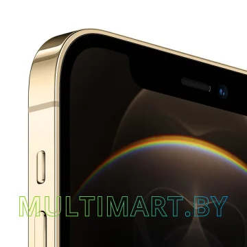 Смартфон Apple iPhone 12 Pro 256GB (золотой) картинка 3